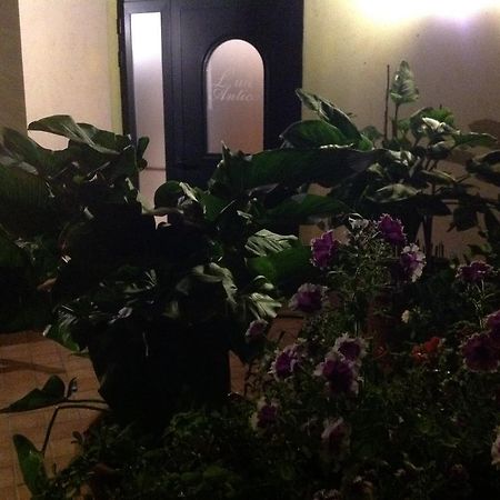 拉伊亚安迪卡住宿加早餐旅馆 Veroli 外观 照片